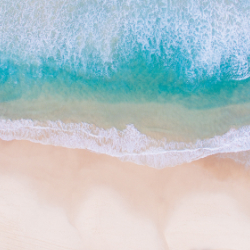 Bondi Beach, New South Wales